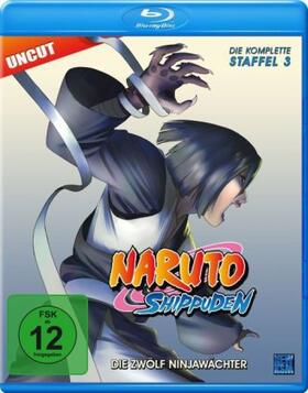 Kishimoto / Obrien |  Naruto Shippuden | Sonstiges |  Sack Fachmedien