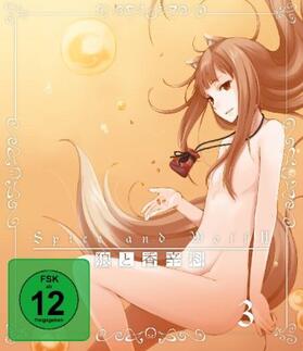 Arakawa / Ayakura / Hasekura |  Spice & Wolf | Sonstiges |  Sack Fachmedien