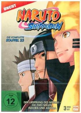 Kishimoto / Obrien |  Naruto Shippuden | Sonstiges |  Sack Fachmedien