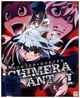Togashi / Mcdonald / Maekawa |  Hunter x Hunter | Sonstiges |  Sack Fachmedien
