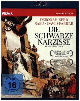  Die schwarze Narzisse (Black Narcissus) | Sonstiges |  Sack Fachmedien