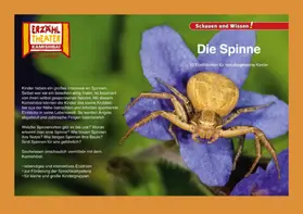 Sangu |  Kamishibai: Die Spinne | Buch |  Sack Fachmedien