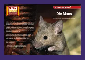 Sangu |  Kamishibai: Die Maus | Buch |  Sack Fachmedien