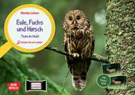 Lehner |  Eule, Fuchs und Hirsch. Tiere im Wald | Sonstiges |  Sack Fachmedien