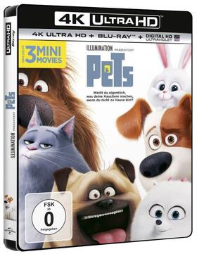 Daurio / Lynch / Paul |  Pets | Sonstiges |  Sack Fachmedien