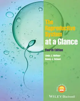 Heffner / Schust |  The Reproductive System at a Glance | eBook | Sack Fachmedien