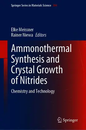 Meissner / Niewa |  Ammonothermal Synthesis and Crystal Growth of Nitrides | eBook | Sack Fachmedien