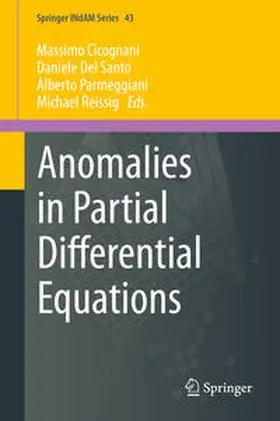Cicognani / Del Santo / Parmeggiani |  Anomalies in Partial Differential Equations | eBook | Sack Fachmedien