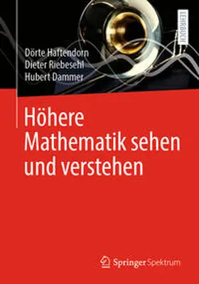 Haftendorn / Riebesehl / Dammer |  Höhere Mathematik sehen und verstehen | eBook | Sack Fachmedien
