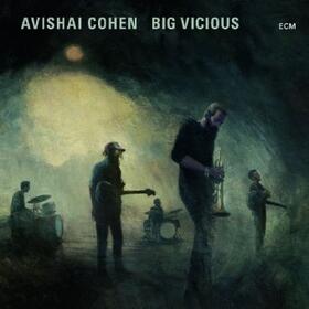  Big Vicious | Sonstiges |  Sack Fachmedien