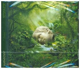  SZNZ:Spring | Sonstiges |  Sack Fachmedien