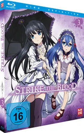 sano / Yamamoto |  Strike the Blood | Sonstiges |  Sack Fachmedien