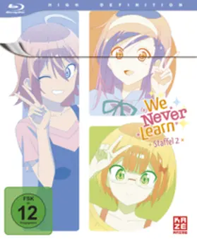Tsutsui / Zappa |  We Never Learn | Sonstiges |  Sack Fachmedien