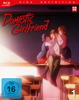 Sasuga / Takahashi / Watari |  Domestic Girlfriend | Sonstiges |  Sack Fachmedien