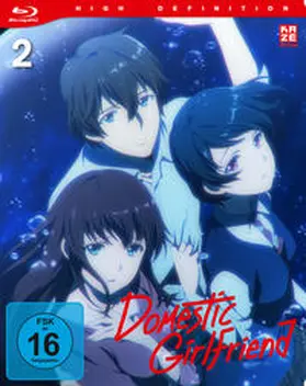 Sasuga / Takahashi / Watari |  Domestic Girlfriend | Sonstiges |  Sack Fachmedien