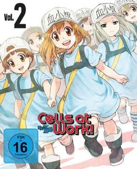 Kakihara / Shimizu / Suzuki |  Cells at Work! | Sonstiges |  Sack Fachmedien