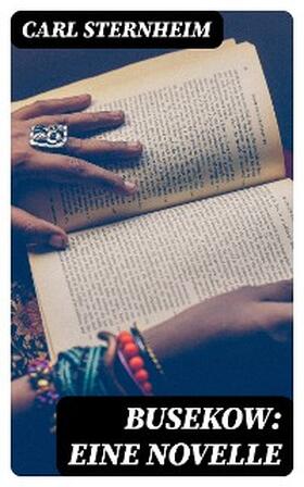 Sternheim |  Busekow: Eine Novelle | eBook | Sack Fachmedien