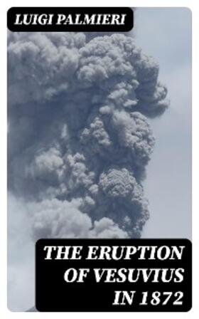 Palmieri |  The Eruption of Vesuvius in 1872 | eBook | Sack Fachmedien