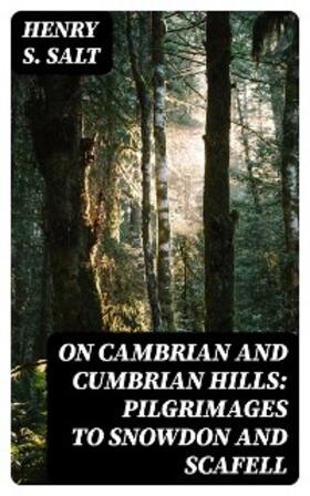Salt |  On Cambrian and Cumbrian Hills: Pilgrimages to Snowdon and Scafell | eBook | Sack Fachmedien