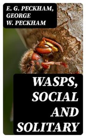 Peckham |  Wasps, Social and Solitary | eBook | Sack Fachmedien