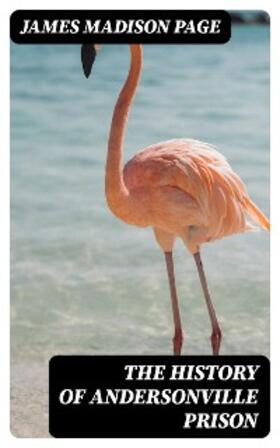 Page |  The History of Andersonville Prison | eBook | Sack Fachmedien