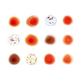  And I'll Scratch Yours (Del. Edt.) | Sonstiges |  Sack Fachmedien