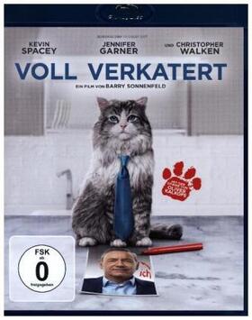 Lurie / Allen / Wilson |  Voll verkatert | Sonstiges |  Sack Fachmedien