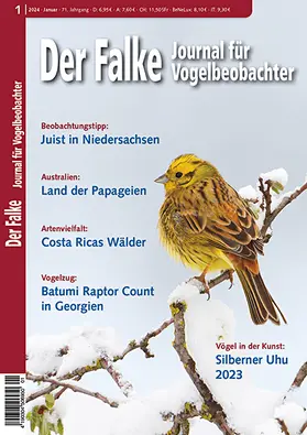 AULA-Verlag GmbH / Redaktion Georg Grothe, Norbert Schäffer, Hermann Stickroth |  Der Falke | Zeitschrift |  Sack Fachmedien