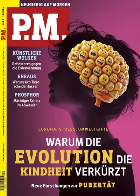  P.M. | Zeitschrift |  Sack Fachmedien