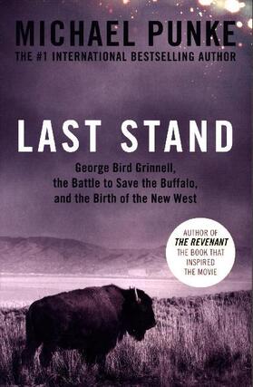 Punke |  Last Stand | Buch |  Sack Fachmedien