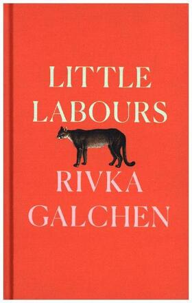 Galchen |  Little Labours | Buch |  Sack Fachmedien