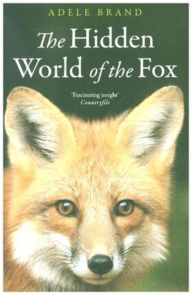 Brand |  The Hidden World of the Fox | Buch |  Sack Fachmedien