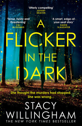 Willingham |  A Flicker in the Dark | Buch |  Sack Fachmedien