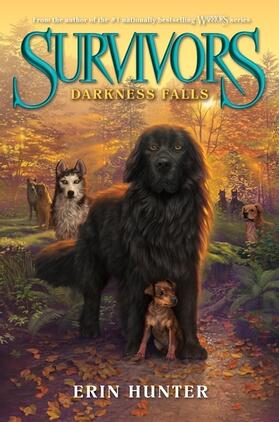 Hunter |  Darkness Falls | Buch |  Sack Fachmedien