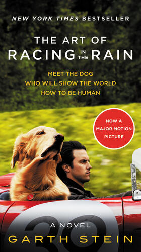 Stein |  The Art of Racing in the Rain. Movie Tie-in Edition | Buch |  Sack Fachmedien