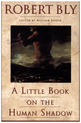 Bly |  A Little Book on the Human Shadow | Buch |  Sack Fachmedien