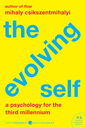 Csikszentmihalyi |  Evolving Self, The | Buch |  Sack Fachmedien