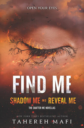 Mafi |  Find Me | Buch |  Sack Fachmedien