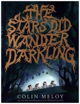 Meloy |  The Stars Did Wander Darkling | Buch |  Sack Fachmedien