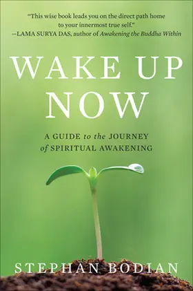 Bodian |  Wake Up Now | Buch |  Sack Fachmedien