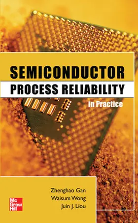 Gan / Wong / Liou |  Semiconductor Process Reliability in Practice | Buch |  Sack Fachmedien