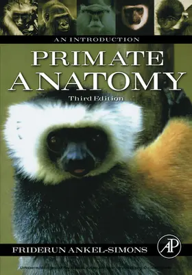 Ankel-Simons | Primate Anatomy | E-Book | sack.de