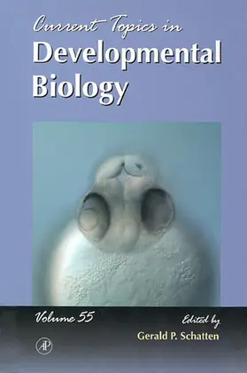 Schatten |  Current Topics in Developmental Biology | eBook | Sack Fachmedien