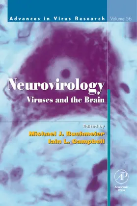 Buchmeier |  Neurovirology: Viruses and the Brain | eBook | Sack Fachmedien