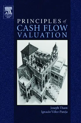 Tham / Velez-Pareja |  Principles of Cash Flow Valuation | eBook | Sack Fachmedien