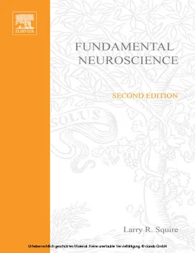 Squire / Bloom / Berg |  Fundamental Neuroscience | eBook | Sack Fachmedien