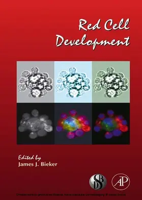 Bieker | Red Cell Development | E-Book | sack.de