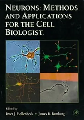  Neurons: Methods and Applications for the Cell Biologist | eBook | Sack Fachmedien