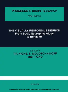 Hicks / Molotchnikoff / Ono |  The Visually Responsive Neuron | eBook | Sack Fachmedien