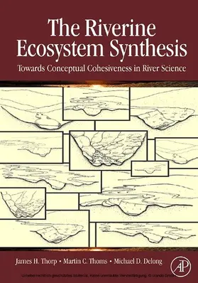 Thorp / Thoms / Delong | The Riverine Ecosystem Synthesis | E-Book | sack.de
